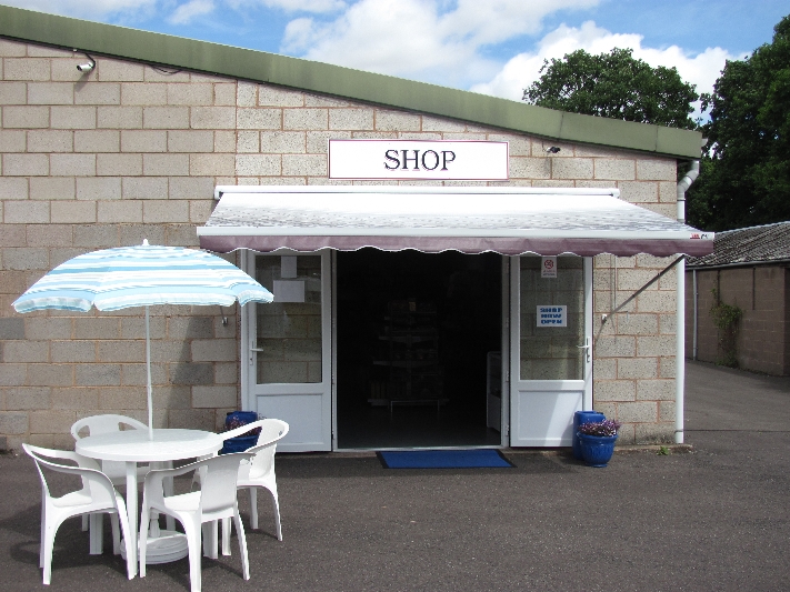 New Shop